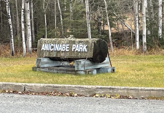 Kenora council agrees to contract out management of Anicinabe Park