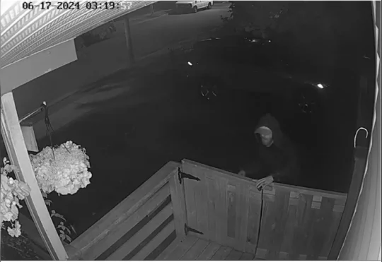 Police investigate arson in Moncton
