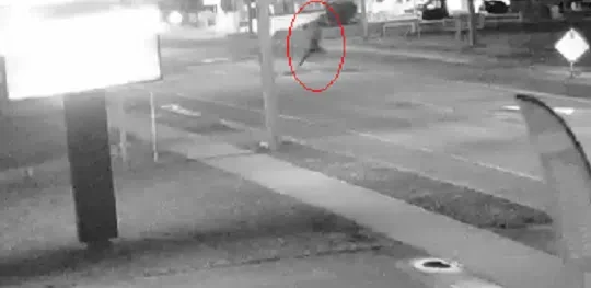 RCMP seeking info related to Shediac arson