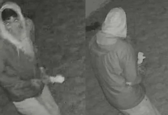 Man wanted after arson in Colchester County