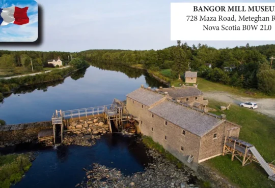 Community devastated over loss of Clare’s Bangor Sawmill