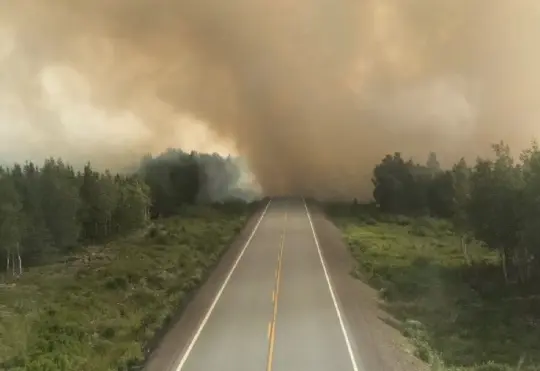 Disaster Financial Assistance Program to help uninsurable losses from wildfires