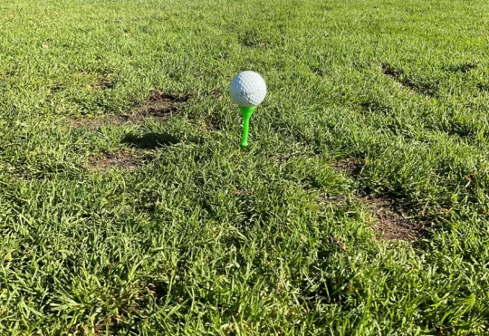 Beauty Bay Golf Course, Senior Men’s League, June 10, 2025