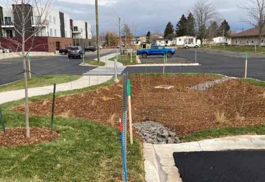 Dieppe expands tree bylaw with sustainable alternatives for developers