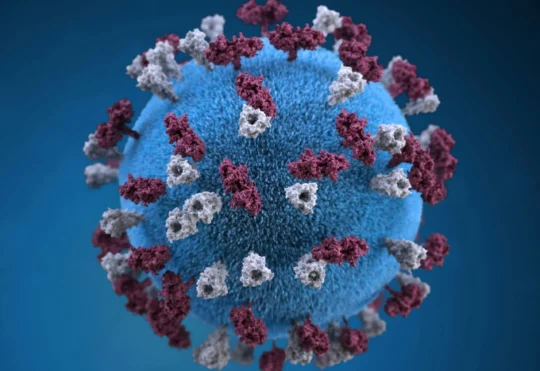 Measles outbreak in Sussex area nearing end