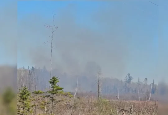 Firefighters battle large brush fire in Moncton