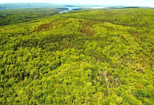 Cains Mountain Nature Reserve expands
