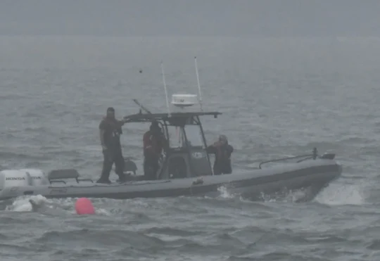 Two entangled humpback whales rescued this week
