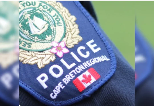 Police investigate remains found in Sydney