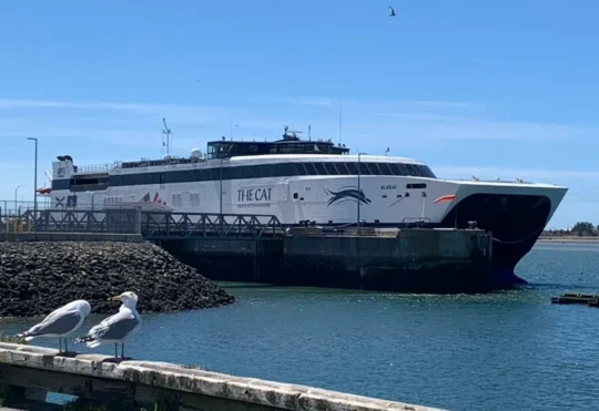 ‘CAT’ ferry surpasses last year’s passenger total