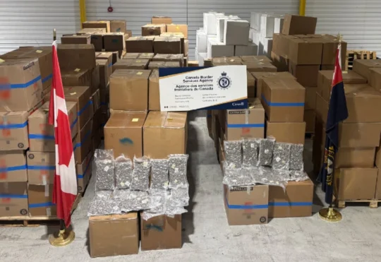 6,700 kilos of suspected cocaine seized in Saint John