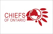 Benedict elected as new Ontario Regional Chief