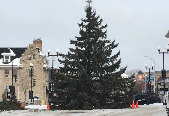 Main Street Christmas Tree to be lit up