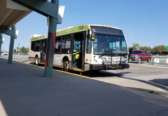 Free shuttles for Scotties available to visitors and residents