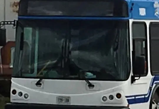 City looking at different transit options