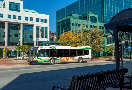 Codiac Transpo working to address Green Line delays