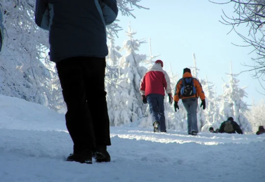 Weekly outdoor group walks available across Nova Scotia