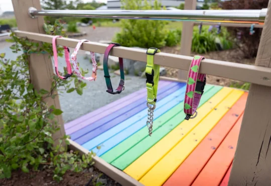 Rainbow bridge at N.S. animal shelter memorial garden helps owners grieve