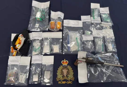 Drug investigation leads to four-year prison term for Sussex man