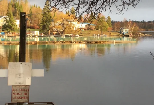 Coney seasonal water service resumes