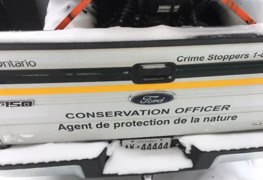 Two men fined for illegally hunting deer