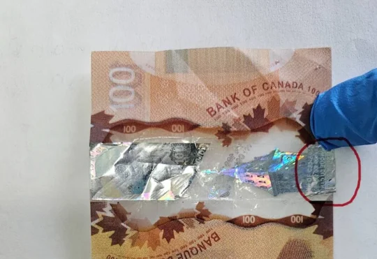 Fake cash circulating in Moncton, police warn