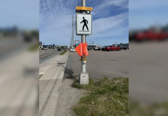 Student project sees brightly colored flags at Port Hawkesbury crosswalk