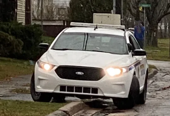 More information needed after series of vehicle thefts in N.B.