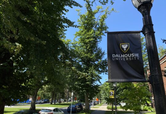 Dalhousie researches design groundbreaking tool to fight brain cancer