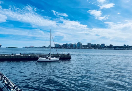 Construction company wants to “rebuild fish habitat” by infilling Dartmouth Cove, still waiting on DFO approval
