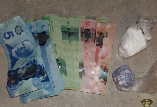 Mississauga resident facing charges following drug bust