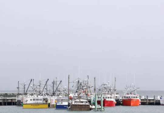 Port of Digby gets $600k for climate change protection