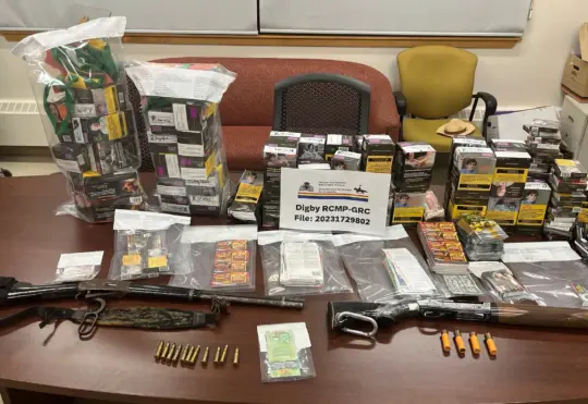 RCMP arrest 2 after rash of Digby County break-ins