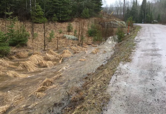 Dryden gets over twice the amount of rain in May