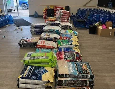 OSPCA called into help during wildfire evacuations
