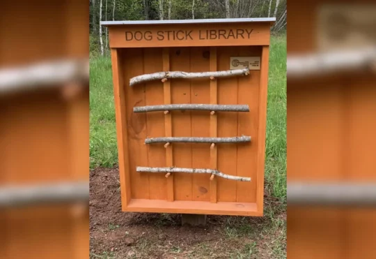 Dogs giving Riverview stick library a big a-paws