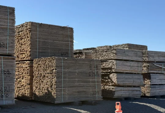 Ontario investing $30 million in forestry industry