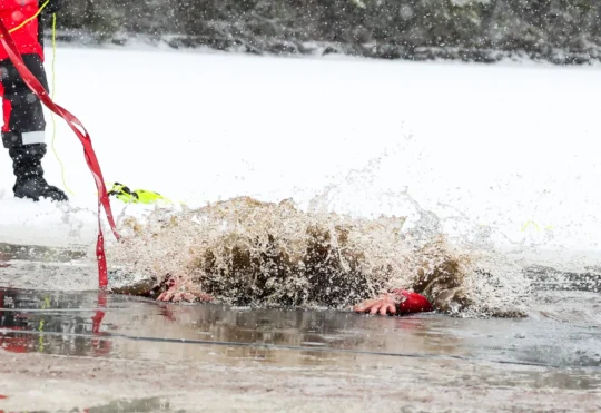 Fifty people take the plunge in Dorchester on New Year’s Day