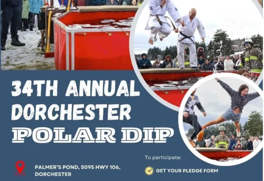 Polar dippers to take the plunge in Dorchester, N.B.