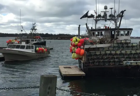 Lobster season could start early in LFA 33
