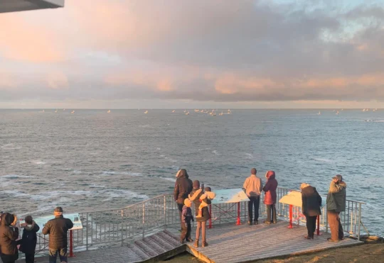 More calls Saturday to determine opening of fall lobster fishery