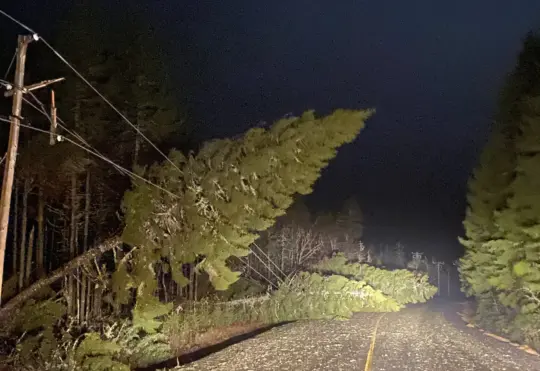 Cleanup begins after damaging winds