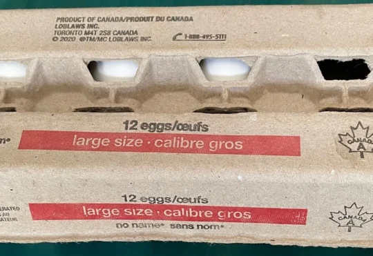 Eggs recalled due possible Salmonella contamination