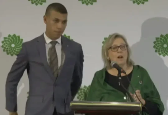 Green’s co-leader steps down
