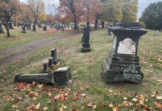 Vandals damage heritage headstones at Elmwood Cemetery