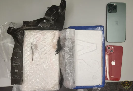 Mississauga resident facing charge following traffic stop in Shuniah