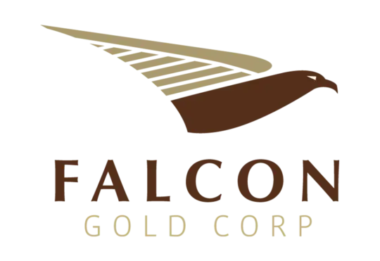 Falcon Gold to resume drilling