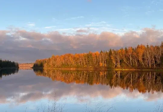 Blue-green algae closes Irishtown Nature Park reservoir