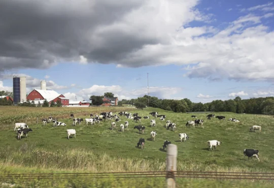 N.S. trying to help farmers through pressures of drought