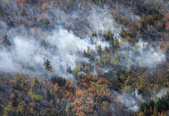 More firefighters helping to battle Lake George wildfire